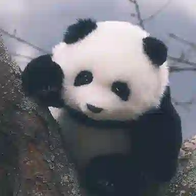Chongker
