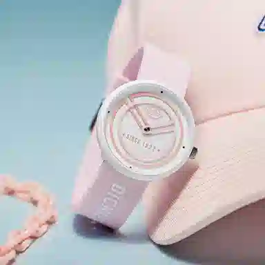 Dickies 40mm ins 210F60LYXCL-258P6-76