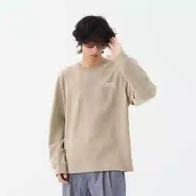 FEAROM T