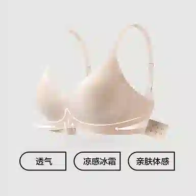 【赵今麦代言】有棵树 小胸聚拢女生防下垂内衣 春夏季大胸显小薄款无痕文胸 礼盒装
