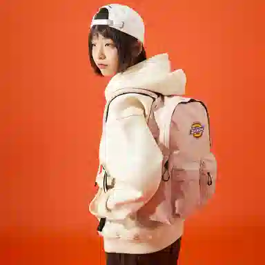 Dickies 100