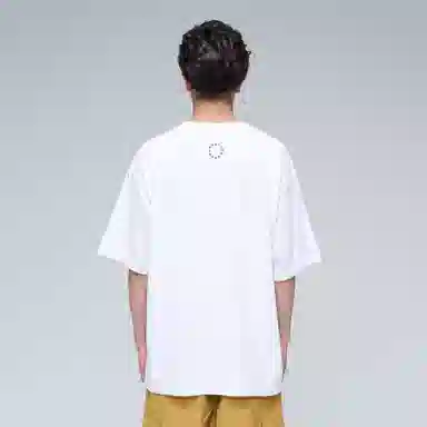 FEAROM T