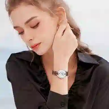 POSCER ins 50113L.WWW