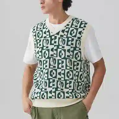 Vision Street Wear Logo Knit Vest Green