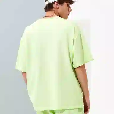 Dickies SS22 logoT