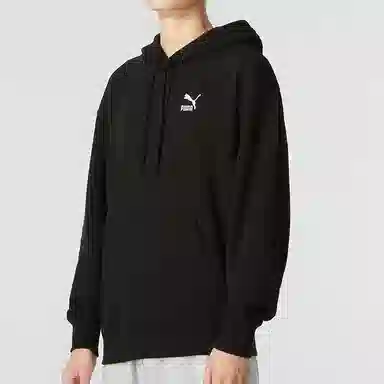 PUMA Classics Small Logo Hoodie Tr Logo