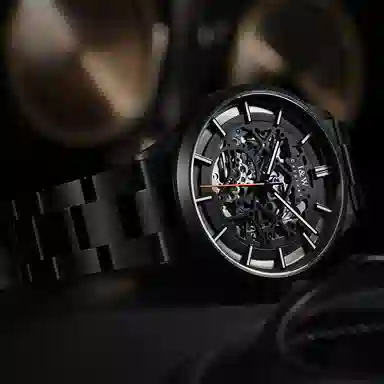 IW CARNIVAL HWGUOJI DW8588G