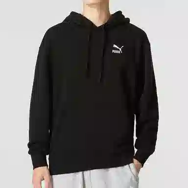 PUMA Classics Small Logo Hoodie Tr Logo