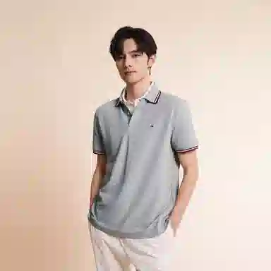 Tommy Hilfiger Polo Shirt Grey