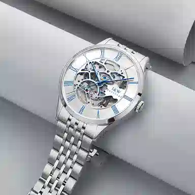 I&W Carnival DW8522G