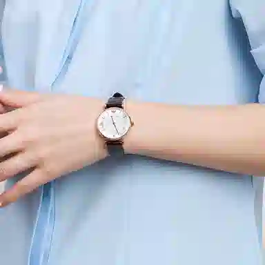 Emporio Armani AR11269