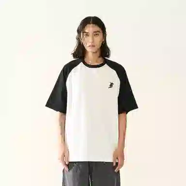 FEAROM T