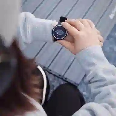 Dickies 200F60LYXCL-103P1-17