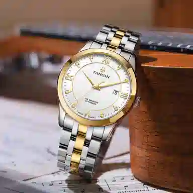 TANGIN 18K 41mm T3025GYWJB