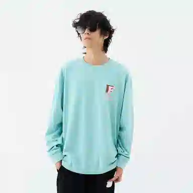 FEAROM T