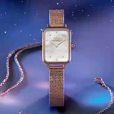 Daniel Wellington DW00100578