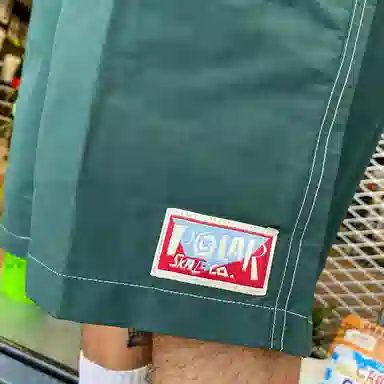 Polar Skate Co Shorts