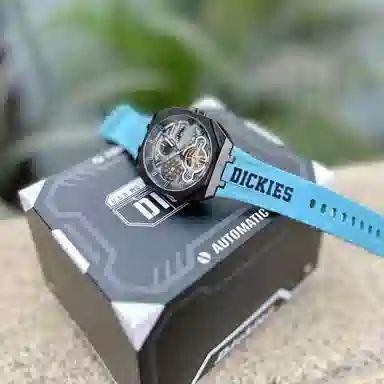 Dickies 220M60LYXCL-485