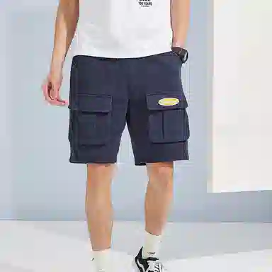 Dickies SS22 Navy Shorts