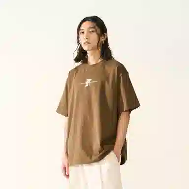 FEAROM T