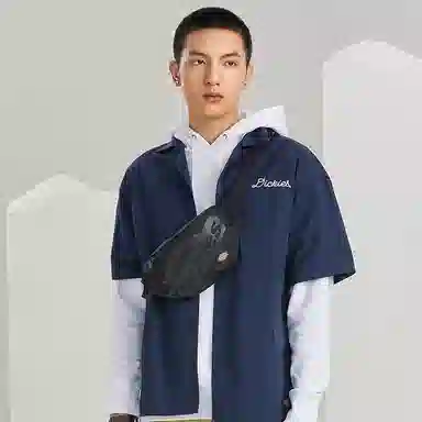 Dickies Logo