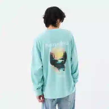 FEAROM T