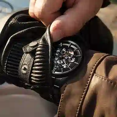 IW CARNIVAL HWGUOJI DW8588G