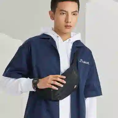 Dickies Logo