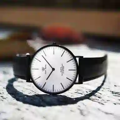 TIANWANG TWINKLE 3851B