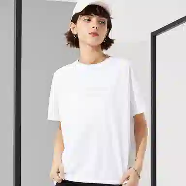 Dickies logoT