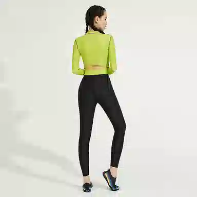 VECTOR