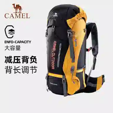 CAMEL Backpack