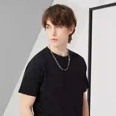 Dickies T