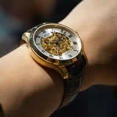 Rotary Automatic Gold Dial