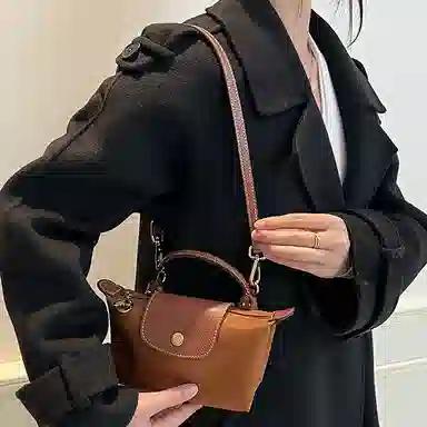 Longchamp Mini Bag Strap Brown