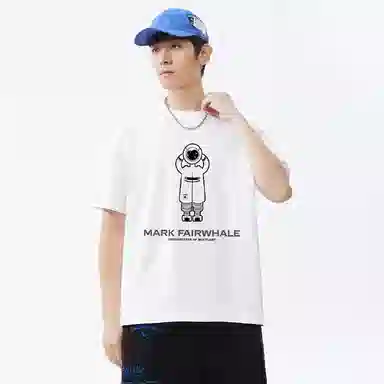 FAIRWHALE T