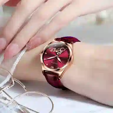 OLEVS PU 30 S-5581-1