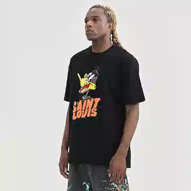 SSSAINT LOUIS the DUCKT