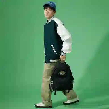 Dickies 100