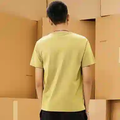 Dickies LogoT