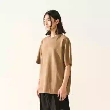 FEAROM T