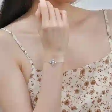 DAISY FELLOWES DF 925