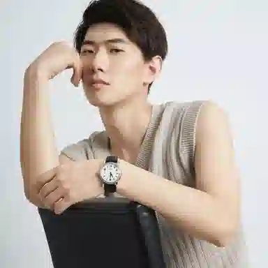 Sea-Gull 819.368+819.368L