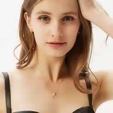 DaisyFellowes DF 18K