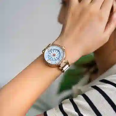 REEF TIGER RGA1599-ML