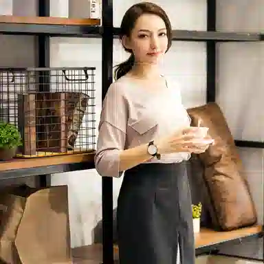 TIANWANG TWINKLE 3851B