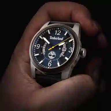 Timberland FERNDALE 45 TDWGB2103403