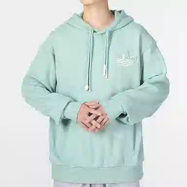 adidas originals Adicolor Hoody Logo