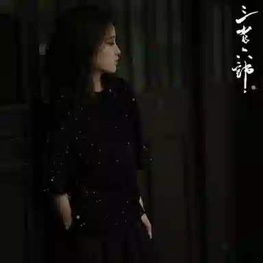 Sanshengliubu Star Embroidery Tee