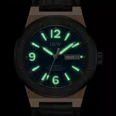 IW CARNIVAL HWGUOJI DW8589G